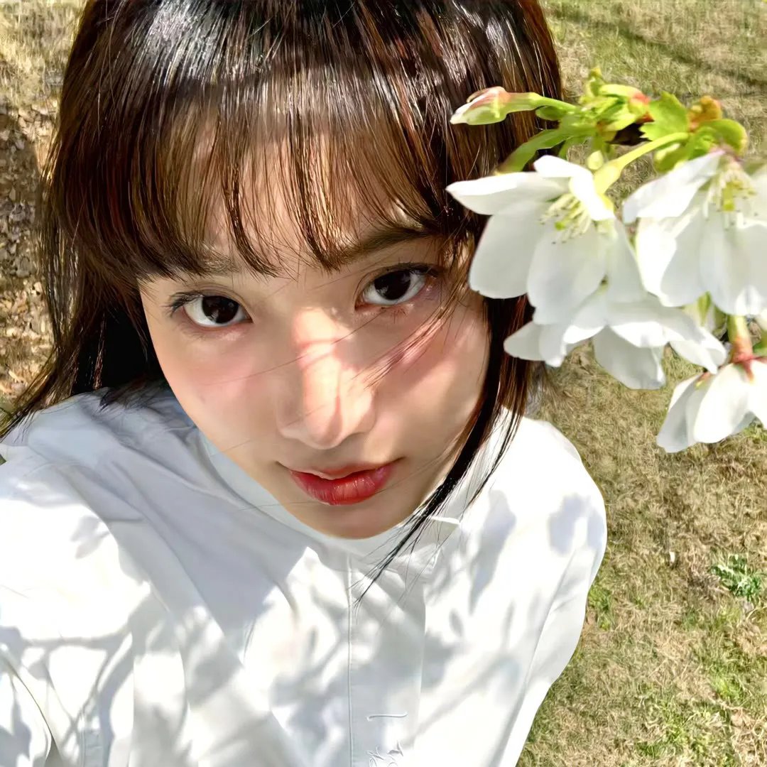 佛莱迪墨裘瑞慈善义演
